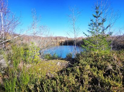 La mine d'or de la Fagassière