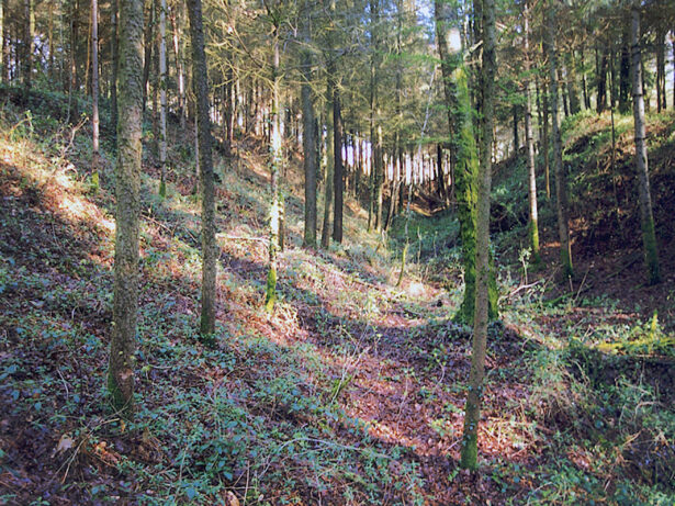 Aurière antique à Beaune-les-Mines