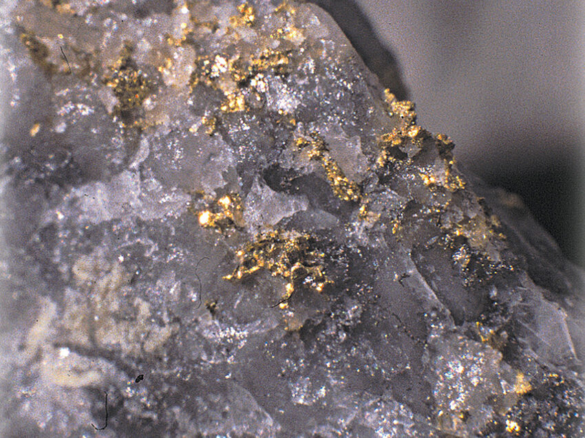 Or natif sur quartz filon de puits Roux, Lauriéras