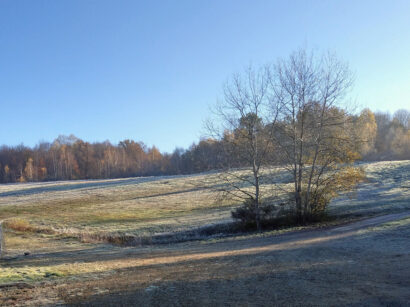 La mine d’or de Chéni