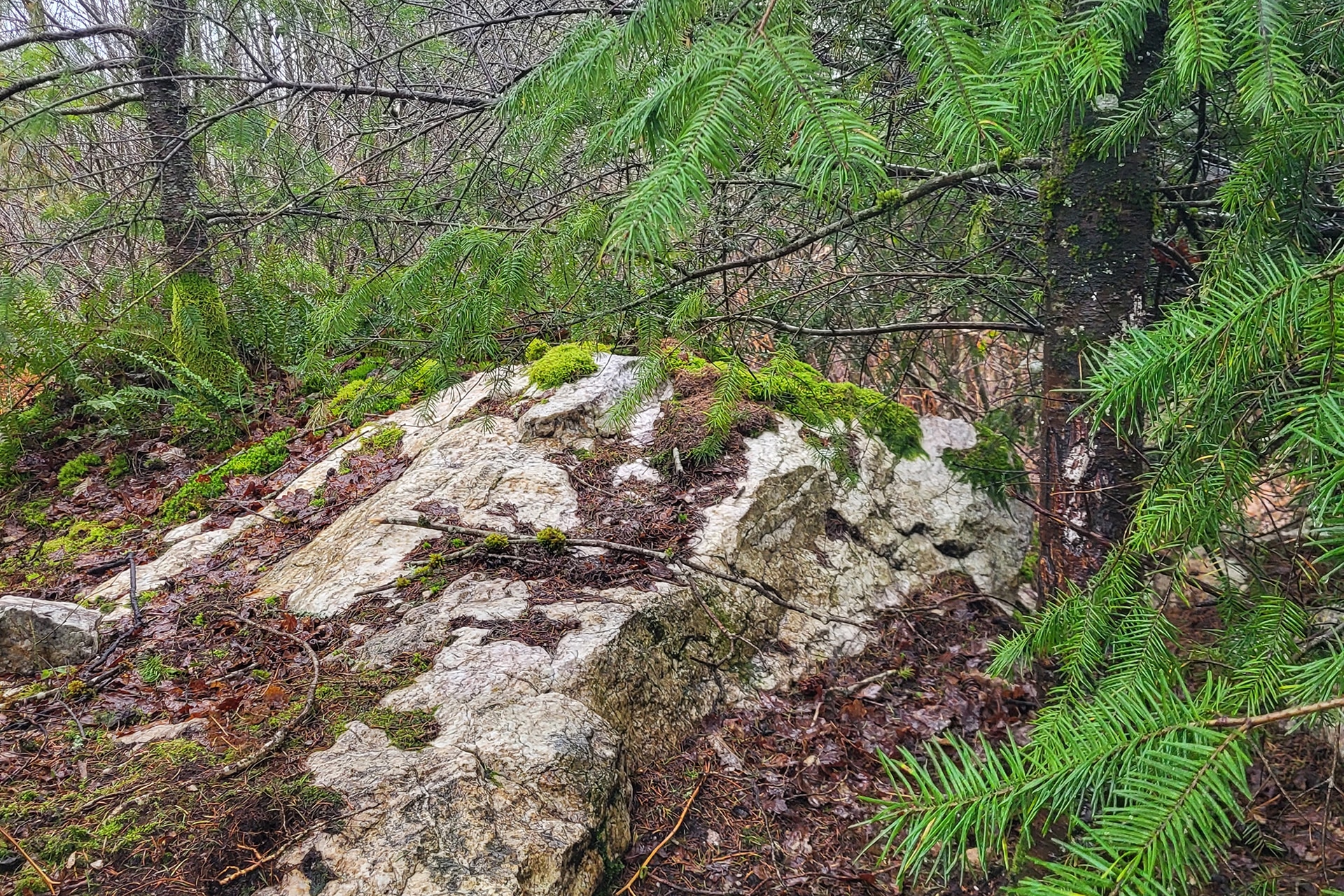Paysage de la région
