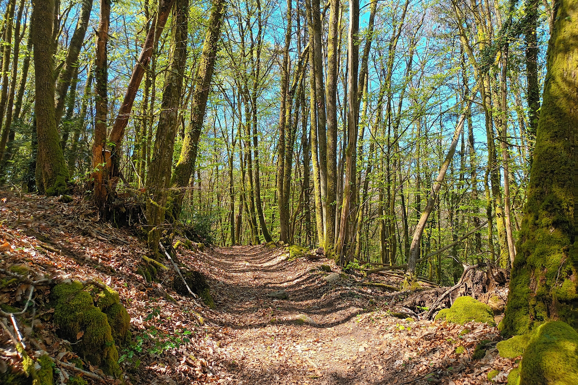 Paysage de la région