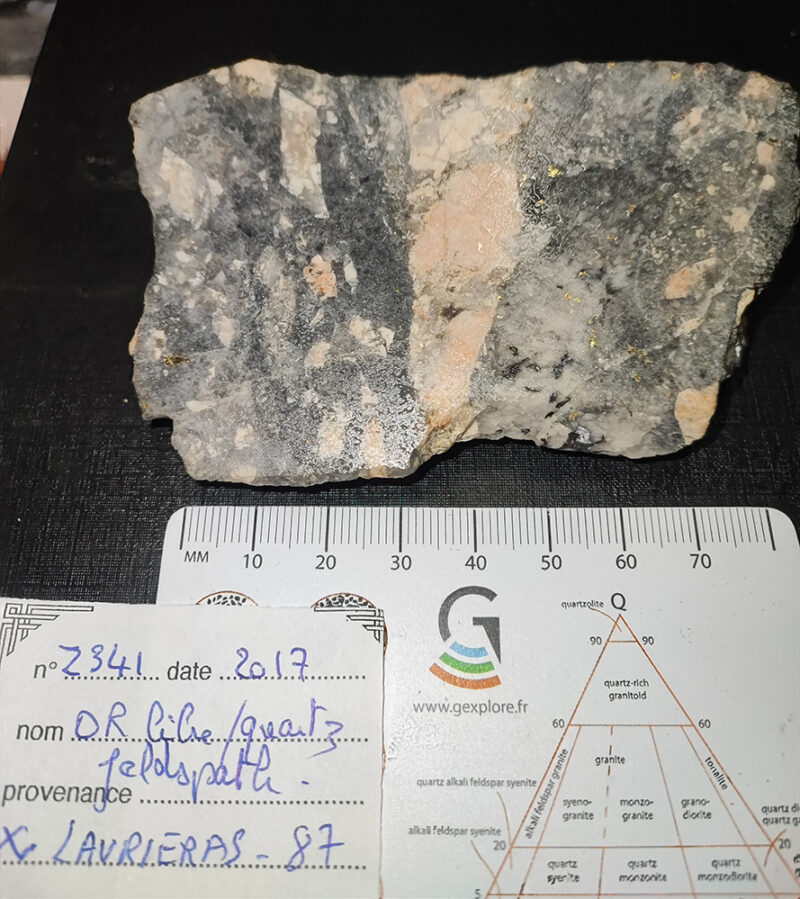 Échantillons de roche dans une lithothèque. (Collection P.C. Guiollard)