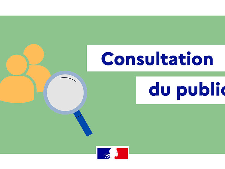 Consultation du public