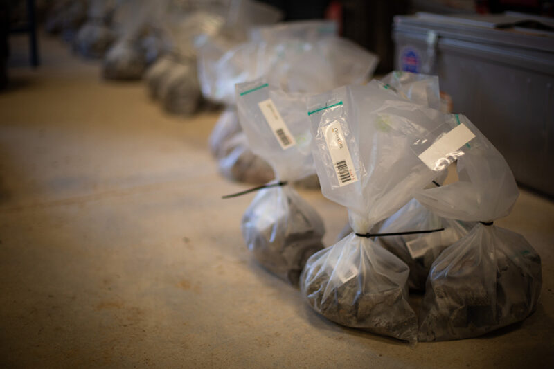 Sacs d’échantillons prêts pour l’envoi en laboratoire d’analyse