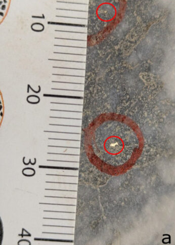 Sondage CMA005 : or visible dans veine de quartz multiphasée blanche et grise à – 100 m dans le prolongement en aval-pendage du dernier niveau minier souterrain à Pierrepinet Ouest, de 283,70 à 284,50 m.