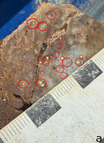 échantillons de carottes prélevés lors de la campagne de sondage de phase 1